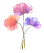 Image de bouquet de fleurs